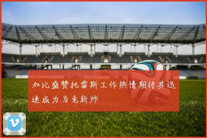 加比盛赞托雷斯工作热情期待其迅速成为马竞新帅