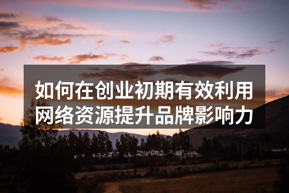 创业者在网络上营销的策略