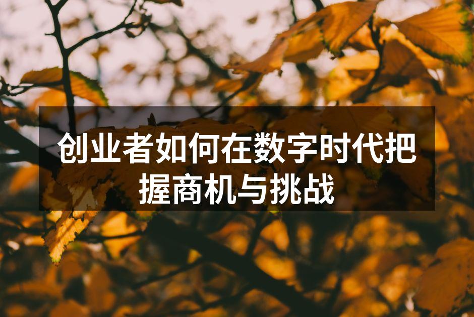 数字时代的创业机遇